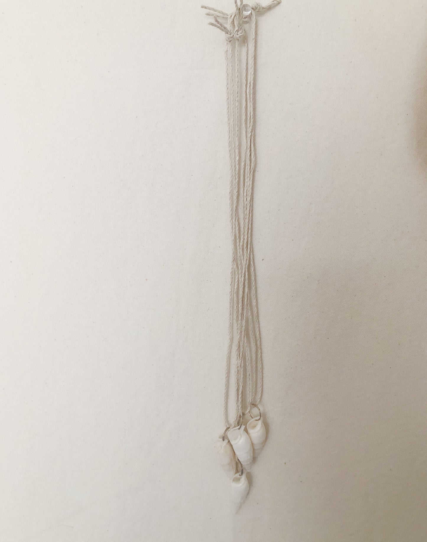 Seashell Hemp Cord Necklace